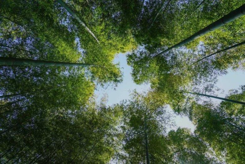 深度探索婆媳矛盾真的就无法避免、不可调和吗?,与知识星球共享智慧